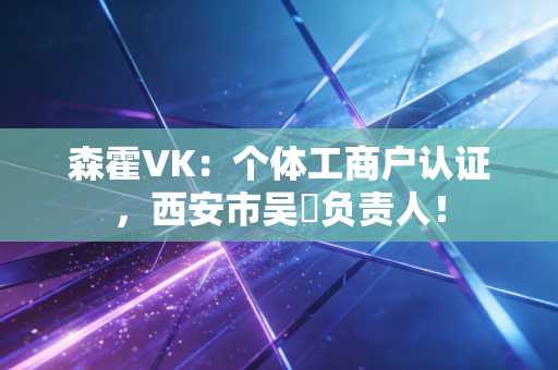 森霍VK：个体工商户认证，西安市吴頔负责人！