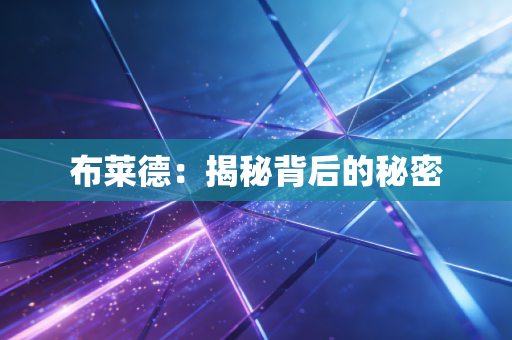 布莱德：揭秘背后的秘密