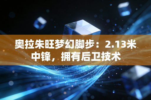 奥拉朱旺梦幻脚步：2.13米中锋，拥有后卫技术