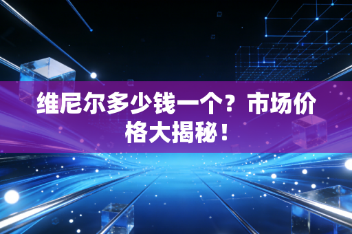 维尼尔多少钱一个？市场价格大揭秘！