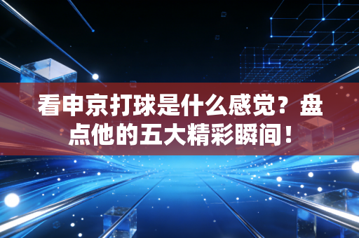 看申京打球是什么感觉？盘点他的五大精彩瞬间！