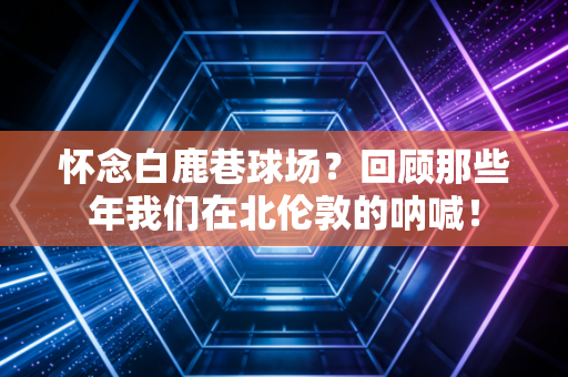 怀念白鹿巷球场?回顾那些年我们在北伦敦的呐喊! 怀念白鹿巷球场?回顾那些年我们在北伦敦的呐喊!