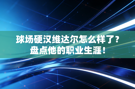 球场硬汉维达尔怎么样了？盘点他的职业生涯！