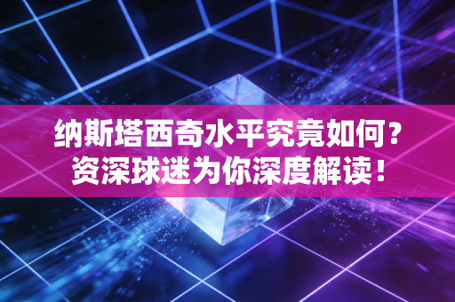 纳斯塔西奇水平究竟如何？资深球迷为你深度解读！