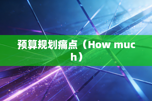 预算规划痛点(How much) 预算规划痛点(How much)