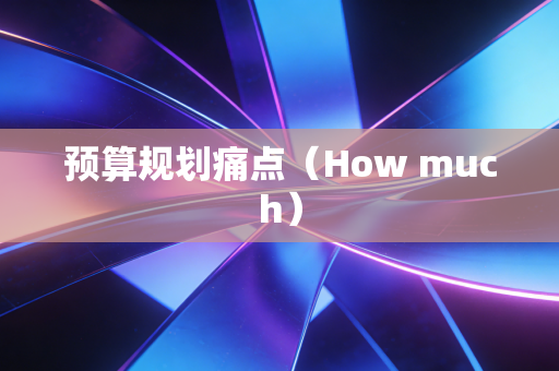 预算规划痛点(How much) 预算规划痛点(How much)