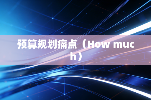预算规划痛点（How much）