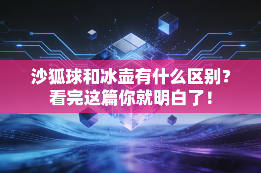 沙狐球和冰壶有什么区别？看完这篇你就明白了！