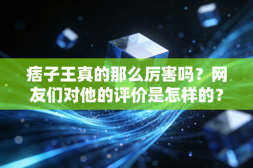痞子王真的那么厉害吗?网友们对他的评价是怎样的? 痞子王真的那么厉害吗?网友们对他的评价是怎样的?