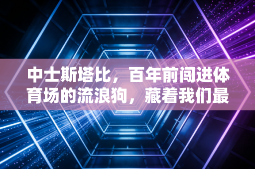 中士斯塔比,百年前闯进体育场的流浪狗,藏着我们最该记住的体育真相 中士斯塔比,百年前闯进体育场的流浪狗,藏着我们最该记住的体育真相