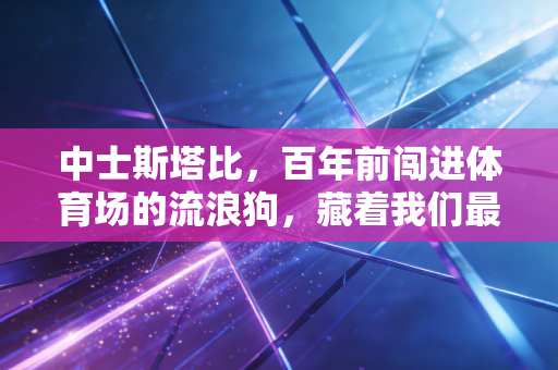中士斯塔比，百年前闯进体育场的流浪狗，藏着我们最该记住的体育真相