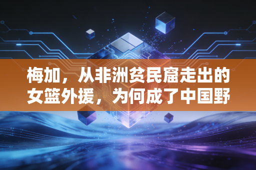 梅加,从非洲贫民窟走出的女篮外援,为何成了中国野球场的全民偶像 梅加,从非洲贫民窟走出的女篮外援,为何成了中国野球场的全民偶像