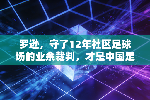 罗逊,守了12年社区足球场的业余裁判,才是中国足球最该被看见的人 罗逊,守了12年社区足球场的业余裁判,才是中国足球最该被看见的人