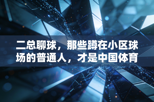 二总聊球，那些蹲在小区球场的普通人，才是中国体育最该托住的底盘