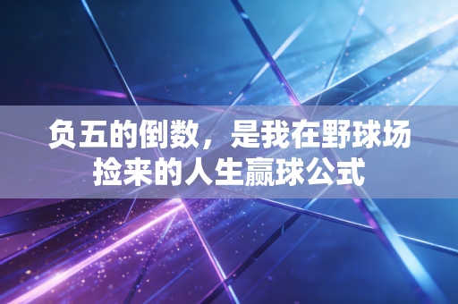 负五的倒数,是我在野球场捡来的人生赢球公式 负五的倒数,是我在野球场捡来的人生赢球公式