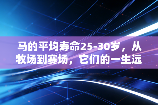 马的平均寿命25-30岁，从牧场到赛场，它们的一生远不止工具二字