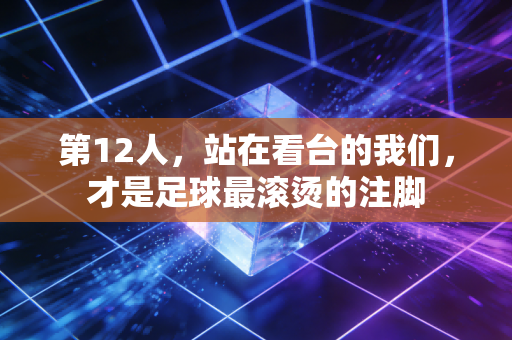 第12人,站在看台的我们,才是足球最滚烫的注脚 第12人,站在看台的我们,才是足球最滚烫的注脚