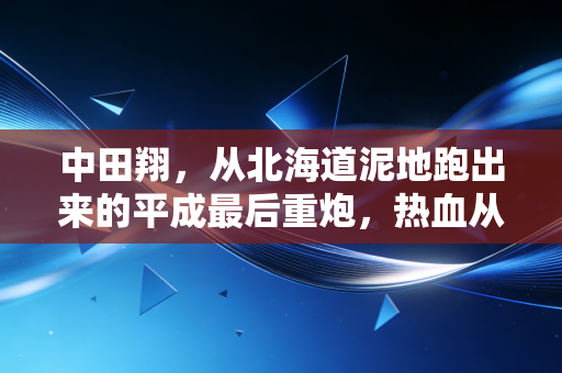 中田翔,从北海道泥地跑出来的平成最后重炮,热血从来不是孤注一掷 中田翔,从北海道泥地跑出来的平成最后重炮,热血从来不是孤注一掷