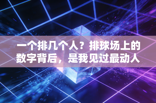 一个排几个人？排球场上的数字背后，是我见过最动人的团队模样