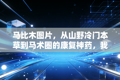 马比木图片,从山野冷门本草到马术圈的康复神药,我在西北马场的亲历太颠覆 马比木图片,从山野冷门本草到马术圈的康复神药,我在西北马场的亲历太颠覆