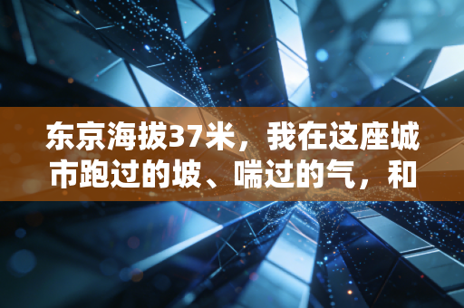 东京海拔37米,我在这座城市跑过的坡、喘过的气,和藏在高差里的体育真相 东京海拔37米,我在这座城市跑过的坡、喘过的气,和藏在高差里的体育真相