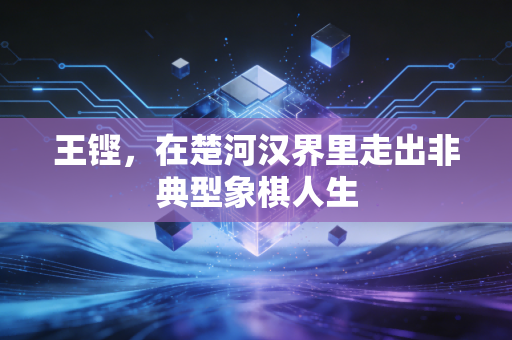 王铿,在楚河汉界里走出非典型象棋人生 王铿,在楚河汉界里走出非典型象棋人生