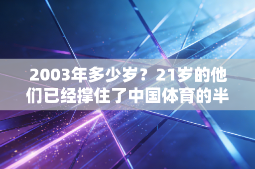 2003年多少岁?21岁的他们已经撑住了中国体育的半片新天 2003年多少岁?21岁的他们已经撑住了中国体育的半片新天