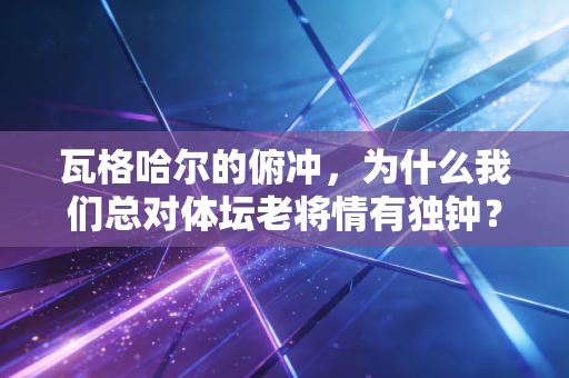 瓦格哈尔的俯冲,为什么我们总对体坛老将情有独钟? 瓦格哈尔的俯冲,为什么我们总对体坛老将情有独钟?