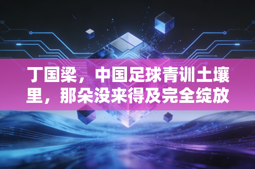 丁国梁，中国足球青训土壤里，那朵没来得及完全绽放的野蔷薇