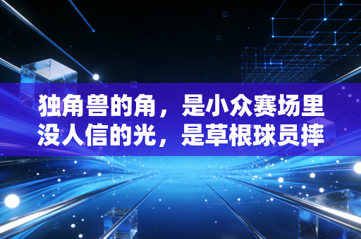 独角兽的角,是小众赛场里没人信的光,是草根球员摔了17次还攥紧的梦 独角兽的角,是小众赛场里没人信的光,是草根球员摔了17次还攥紧的梦