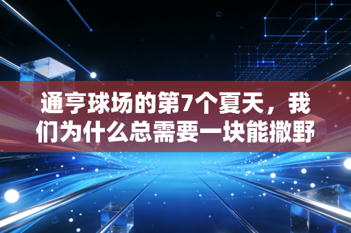 通亨球场的第7个夏天,我们为什么总需要一块能撒野的运动场地? 通亨球场的第7个夏天,我们为什么总需要一块能撒野的运动场地?