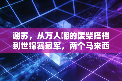 谢苏，从万人嘲的废柴搭档到世锦赛冠军，两个马来西亚男孩的12年热血长征