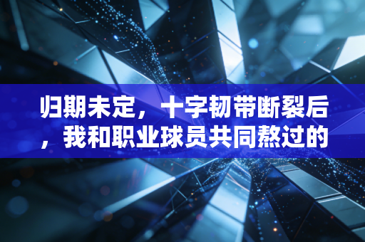 归期未定,十字韧带断裂后,我和职业球员共同熬过的300天 归期未定,十字韧带断裂后,我和职业球员共同熬过的300天