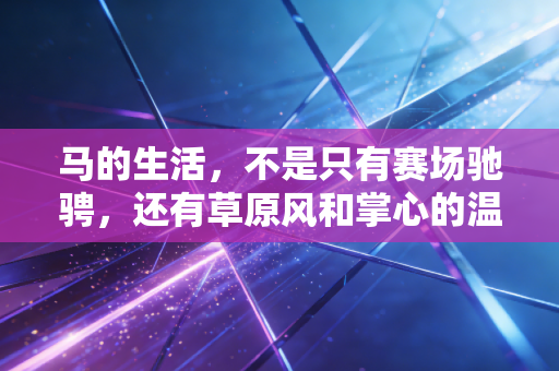 马的生活，不是只有赛场驰骋，还有草原风和掌心的温度