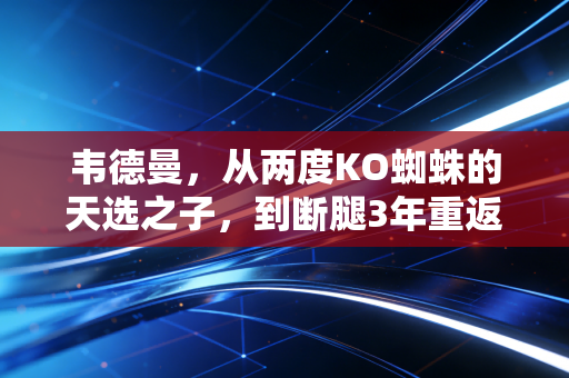韦德曼，从两度KO蜘蛛的天选之子，到断腿3年重返八角笼的格斗阿甘
