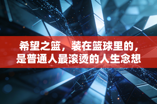 希望之篮,装在篮球里的,是普通人最滚烫的人生念想 希望之篮,装在篮球里的,是普通人最滚烫的人生念想