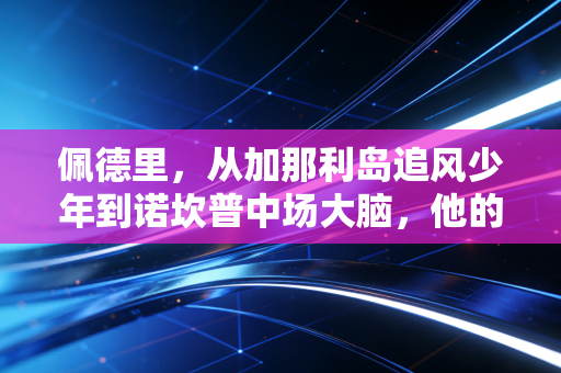 佩德里，从加那利岛追风少年到诺坎普中场大脑，他的成长是足球最温柔的童话