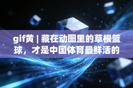 gif黄 | 藏在动图里的草根篮球,才是中国体育最鲜活的注脚 gif黄 | 藏在动图里的草根篮球,才是中国体育最鲜活的注脚
