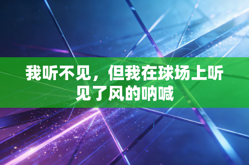 我听不见，但我在球场上听见了风的呐喊