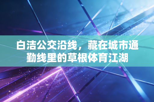 白洁公交沿线，藏在城市通勤线里的草根体育江湖