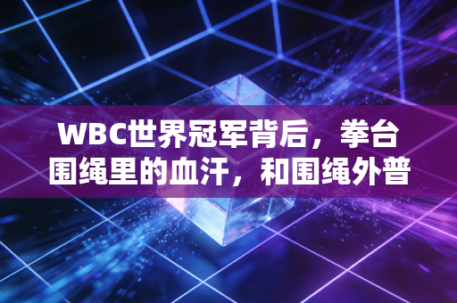 WBC世界冠军背后,拳台围绳里的血汗,和围绳外普通人的英雄梦 WBC世界冠军背后,拳台围绳里的血汗,和围绳外普通人的英雄梦