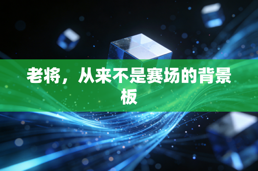 老将,从来不是赛场的背景板 老将,从来不是赛场的背景板