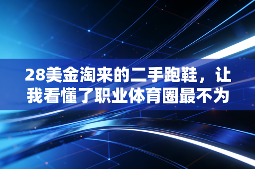 28美金淘来的二手跑鞋,让我看懂了职业体育圈最不为人知的生存真相 28美金淘来的二手跑鞋,让我看懂了职业体育圈最不为人知的生存真相