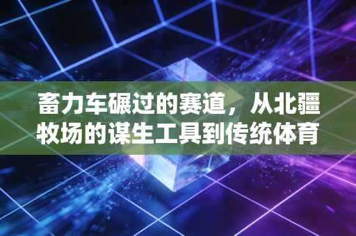 畜力车碾过的赛道,从北疆牧场的谋生工具到传统体育的新晋流量 畜力车碾过的赛道,从北疆牧场的谋生工具到传统体育的新晋流量