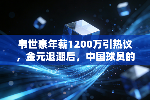 韦世豪年薪1200万引热议,金元退潮后,中国球员的收入该配得上什么? 韦世豪年薪1200万引热议,金元退潮后,中国球员的收入该配得上什么?