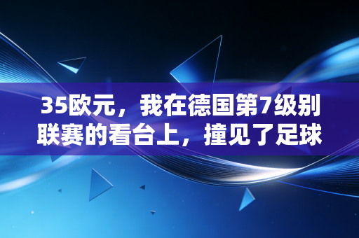 35欧元,我在德国第7级别联赛的看台上,撞见了足球最动人的模样 35欧元,我在德国第7级别联赛的看台上,撞见了足球最动人的模样