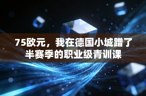 75欧元,我在德国小城蹭了半赛季的职业级青训课 75欧元,我在德国小城蹭了半赛季的职业级青训课