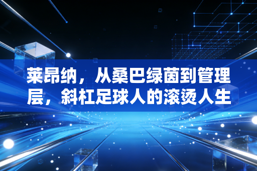 莱昂纳,从桑巴绿茵到管理层,斜杠足球人的滚烫人生 莱昂纳,从桑巴绿茵到管理层,斜杠足球人的滚烫人生