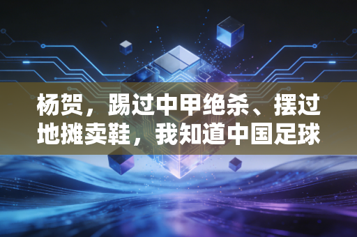 杨贺,踢过中甲绝杀、摆过地摊卖鞋,我知道中国足球的根扎在野球场 杨贺,踢过中甲绝杀、摆过地摊卖鞋,我知道中国足球的根扎在野球场