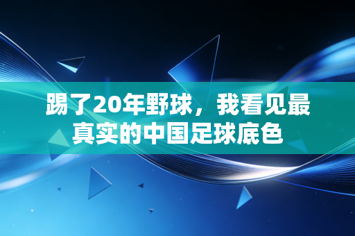 踢了20年野球，我看见最真实的中国足球底色